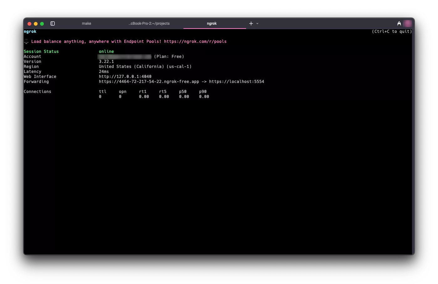 View of the ngrok connection display